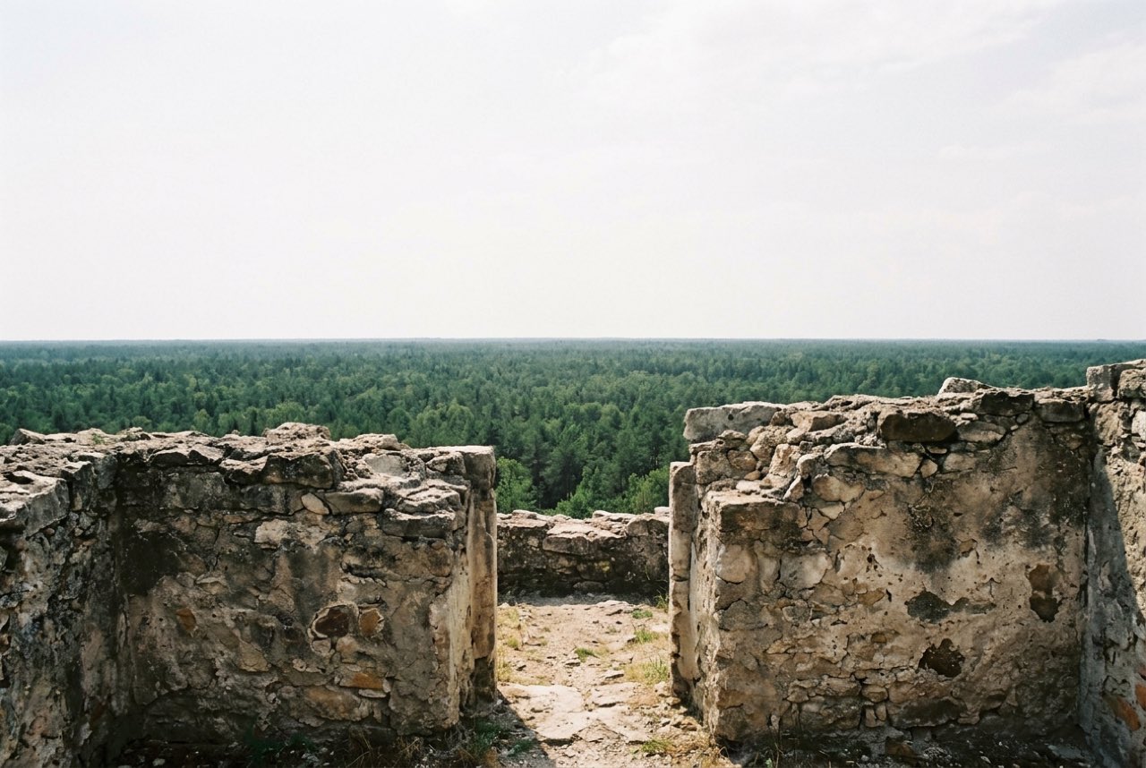 A gap in a low ruined wall opening onto dense flat forest running to the horizon, hot white sky