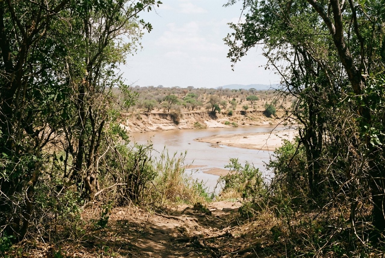 A break in riverine forest opening onto a broad sandy African river with high banks and open woodland beyond, hazy heat